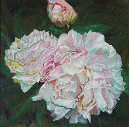 First blooms, 2012